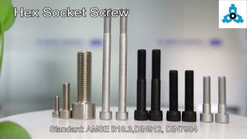 Hex Socket Screws