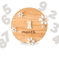 Boho Wooden Daisy Flower Arched Milestone Cards1