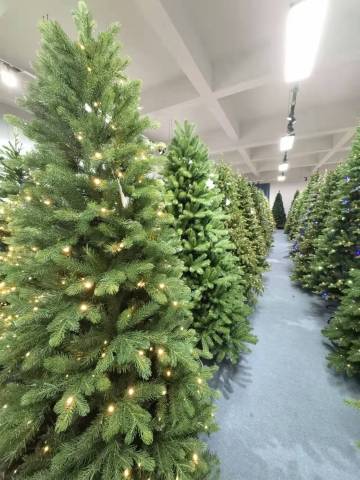 Merry Christmas Tree
