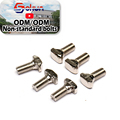 Factory Direct Stainless Steel T-head Bolt: Expedited Shipping & Complete Threads1