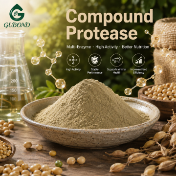 Compound Protease