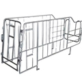Search Engine for Cerdo Equipo Farming: Sow Management Using Gestation Crates1