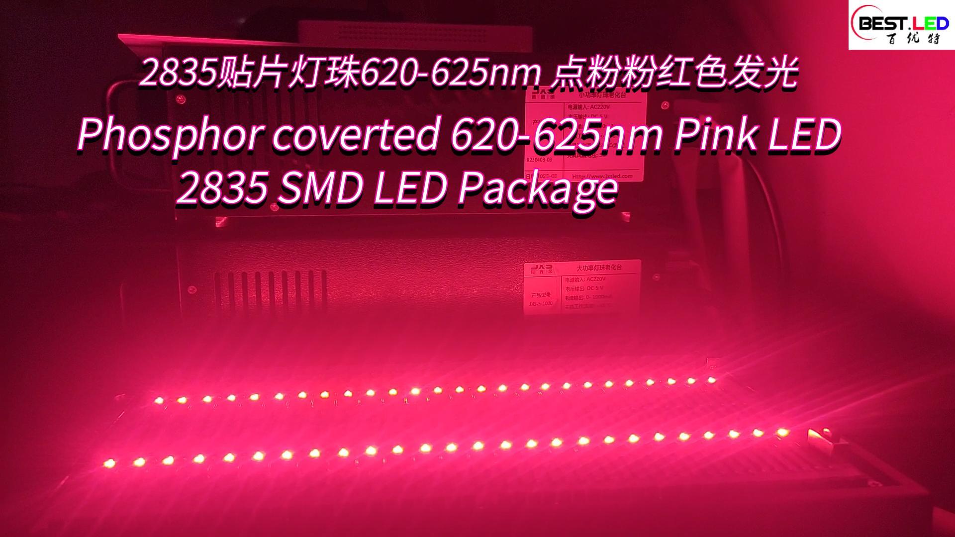 Package LED rose coupé en phosphore 2835 SMD LED