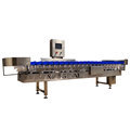 Automatic Fruit and Vegetable Sorting and Grading Machine1