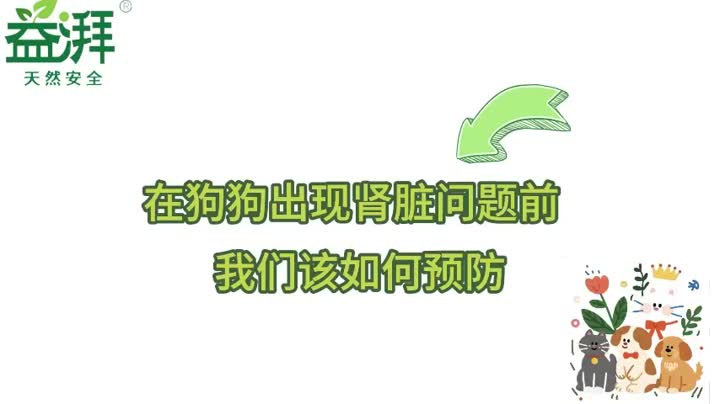 Prevención de la enfermedad renal en perros