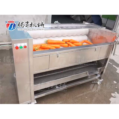 De que equipamento uma planta de processamento de vegetais limpos em pequena escala precisa?