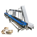 Stainless Steel Rotary Weight Sorting Machine for Chicken Feet Grading1