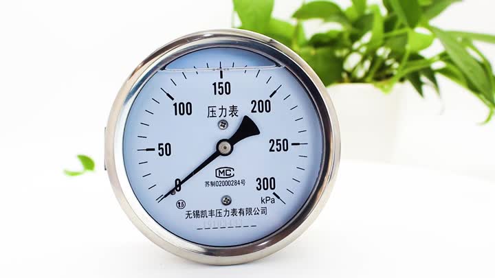 pressure gauge