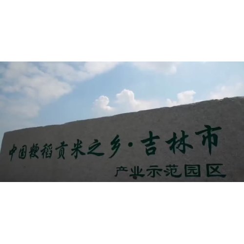 公司横幅