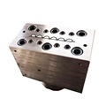 Extrusion Mold for Foamed PVC Hollow Lattice Plates for Internal Decoration1