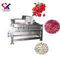 Lychee and Longan Peeling Machine for Juice Factories1