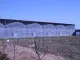 Serres à film industriel de bonne qualité pour cadre métallique de serre de culture de légumes et de fruits toute l&#39;année