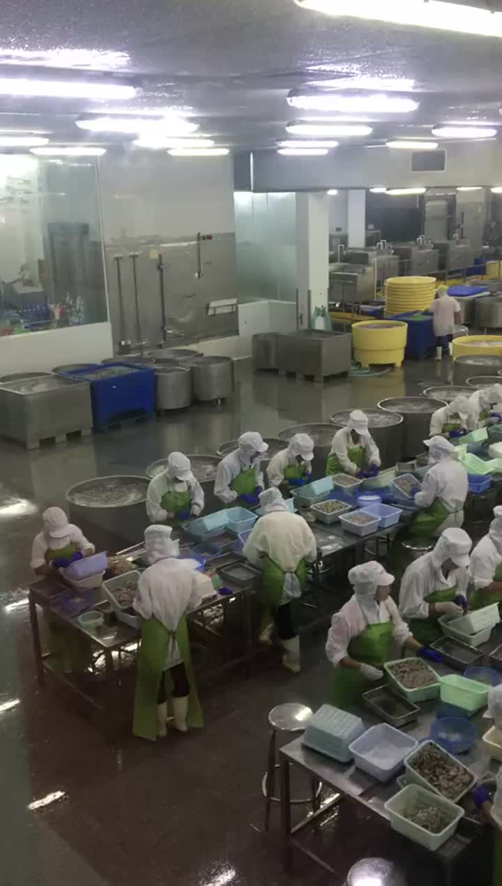 shrimp production line