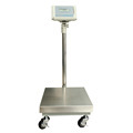 Digital 10g Weighing 300kg Weight 200kg 100kg Electronic Luggage Scale 1g1