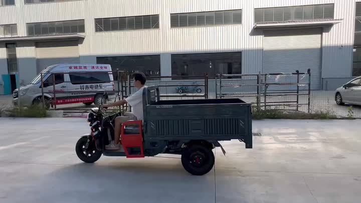 three wheel electric vehicle