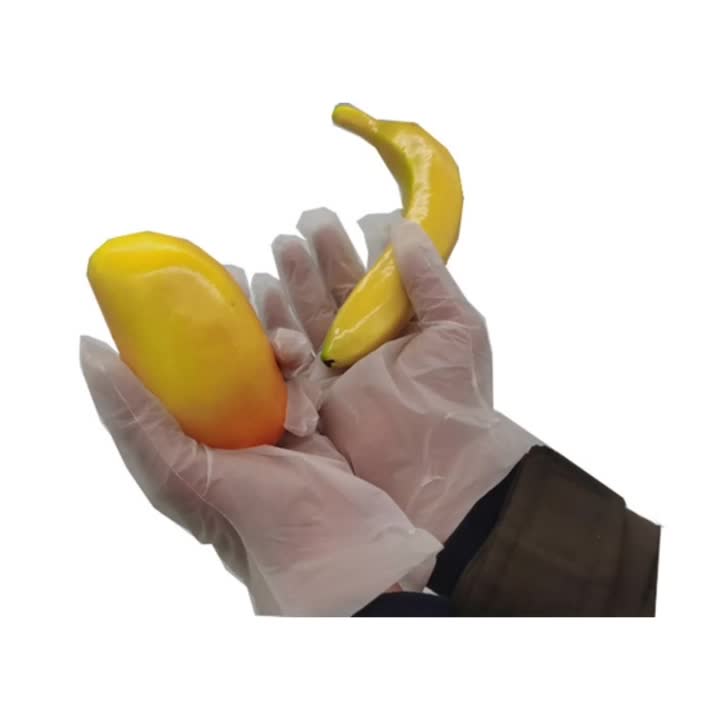 Compostable Gloves