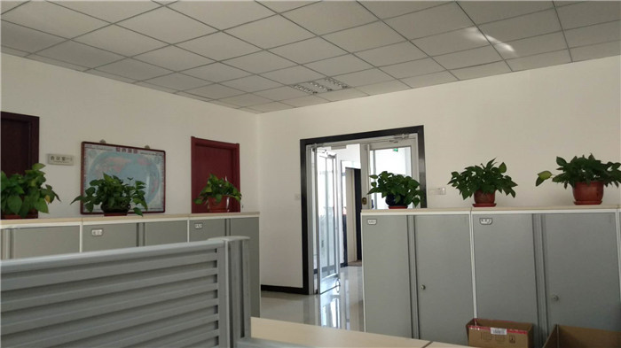 Shijiazhuang Damei Co., Ltd.