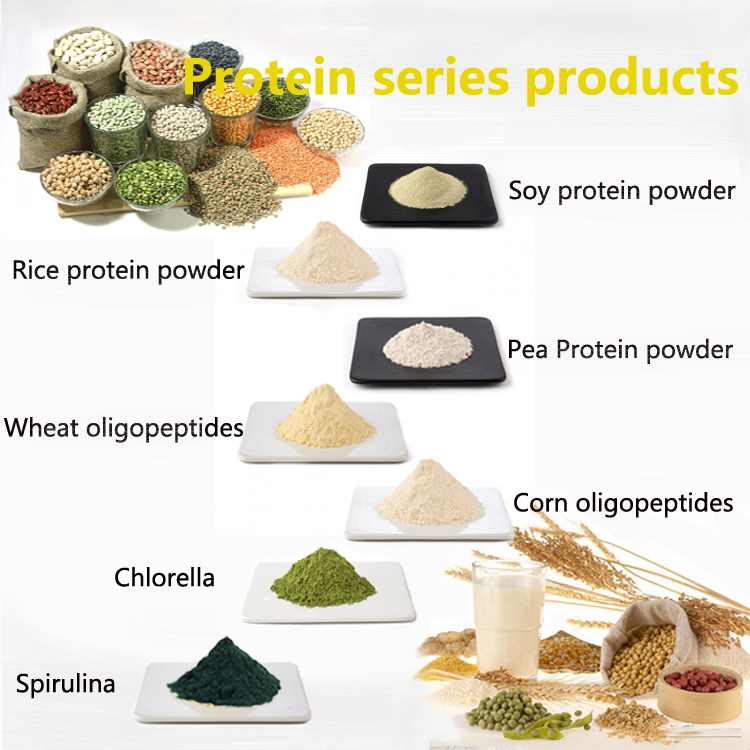 And NonGmo Certified Organic White Rice Protein Powder China Manufacturer