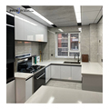 Modern High-Tech Imagery Aluminum Kitchen Cabinet with Color Lacquer Finish1
