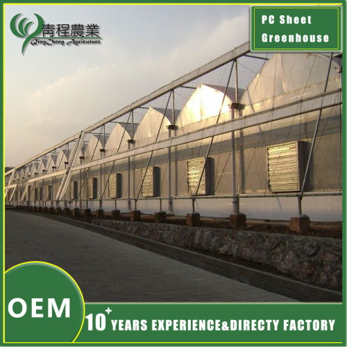 Як доўга звычайна служыць цяпліца (Ізумрудная цяпліца)?