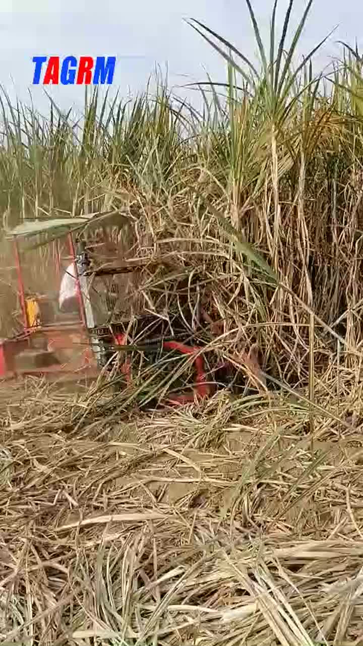 4GP-1 Sugarcane 1-row harvester machine