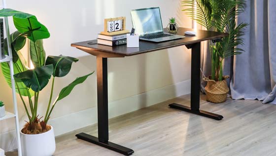 Siting Stand Desk