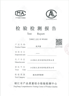 Inspection Report