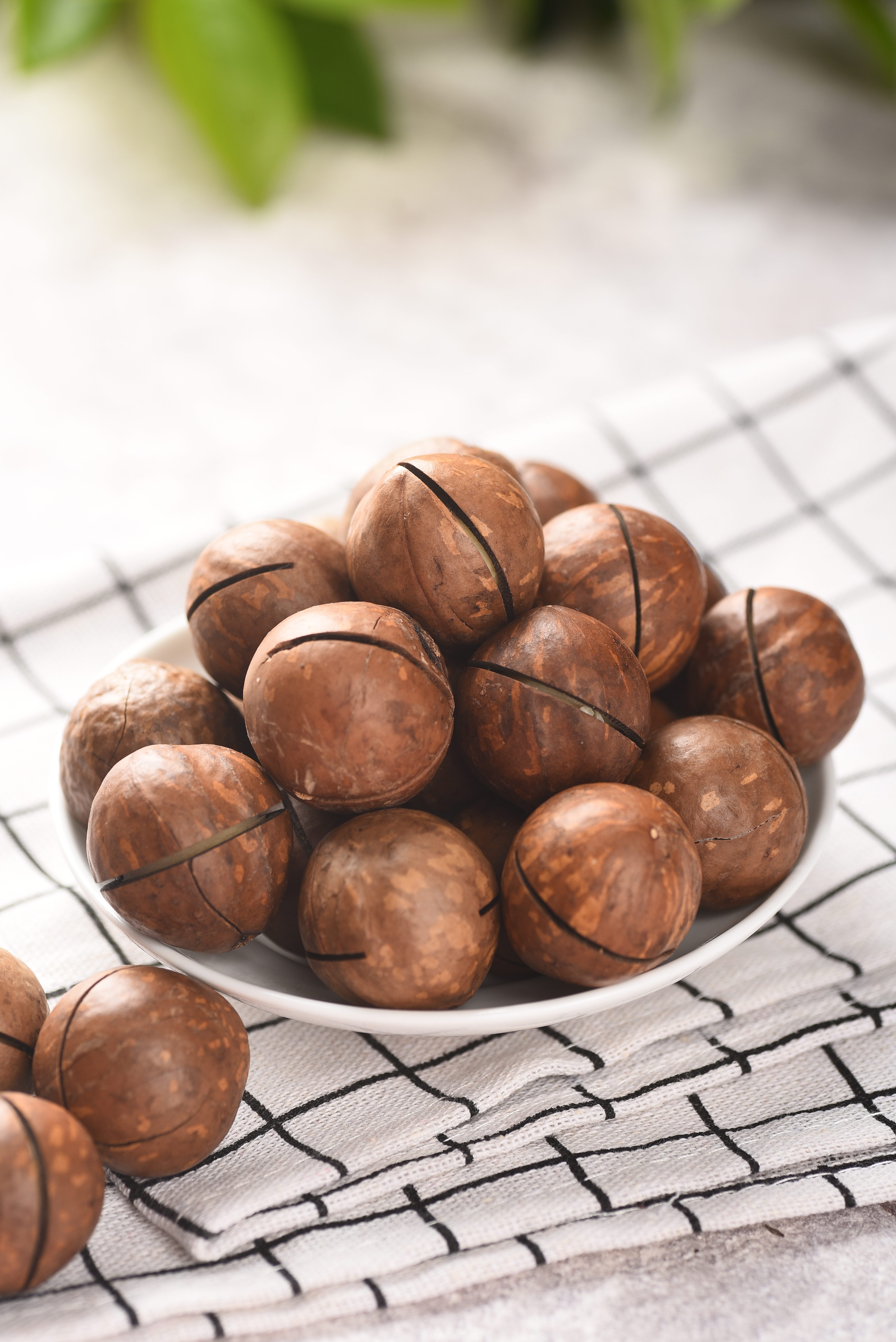 Yunnan Disi Enterprise Group Nut Co., Ltd