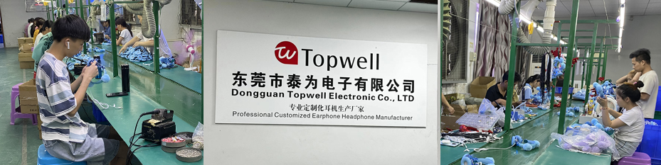 Dongguan Topwell Electronic Co., Ltd.