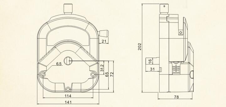 dimensione