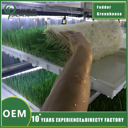 ¿Cuáles son los métodos para construir un invernadero agrícola?