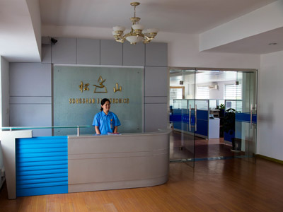 Shanghai Songshan Electronics Co., Ltd.