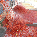 Professional Tomato Sauce Making Machine and Production Line for Paste and Ketchup1