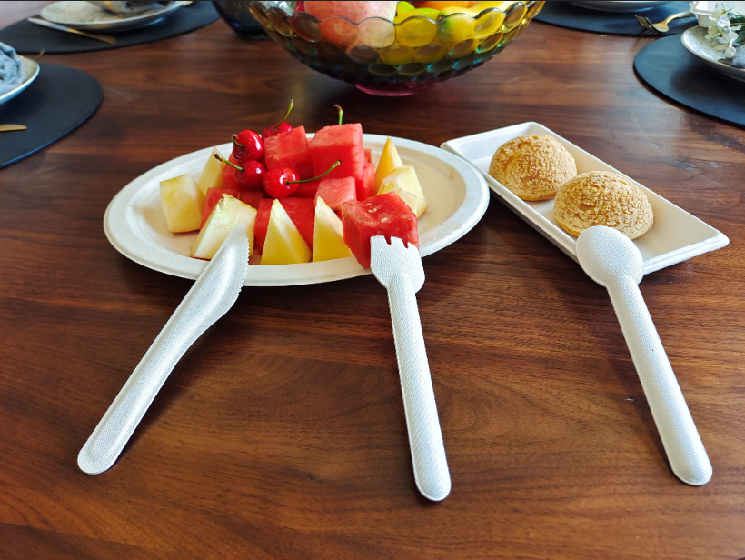 Biodegradable Cutlery of Bagasse and PLA