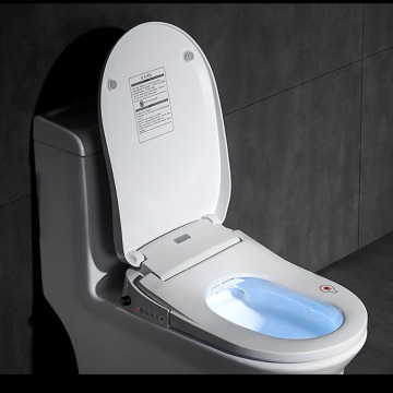 intelligent toilet seat