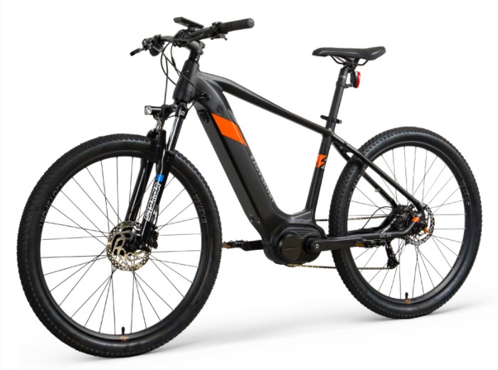 Smart Ebike