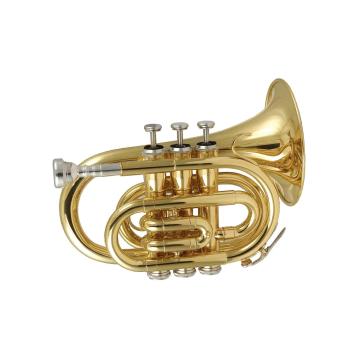 Top 10 China Pocket Trumpet Big Bell Manufacturers