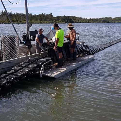 वे क्या कर रहे हैं? हेक्सागोनल पिंजरों और फ्लिप सिस्टम के साथ सुपर कुशल सीप लोडिंग!