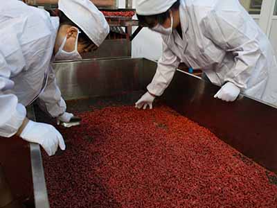 Yinchuan Qi Li Xiang Trading Co., Ltd.