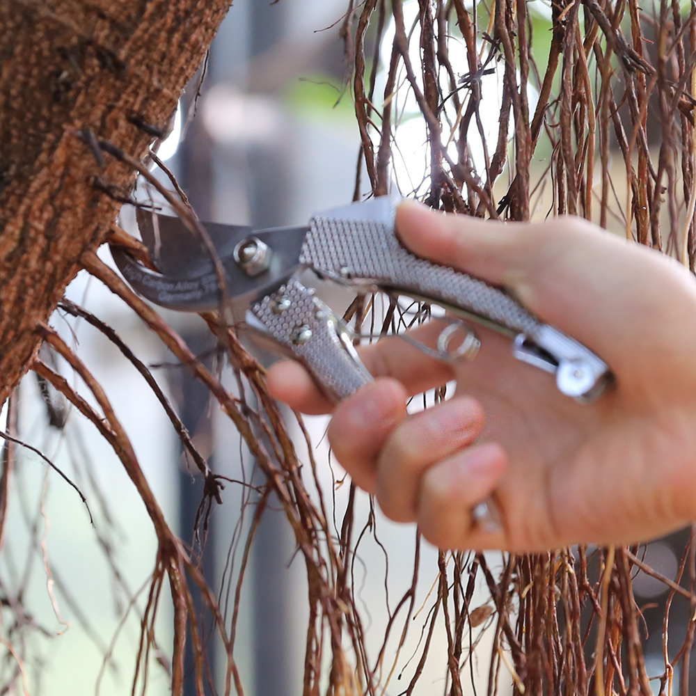 Alat pemangkasan bunga gunting pemotong bunga mengendalikan gunting bunga pemotong pokok profesional