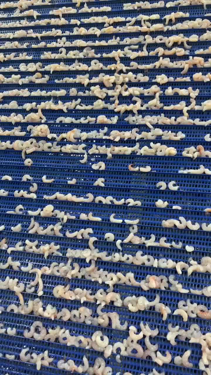 Zhoushan Haiwang Seafood Co., Ltd