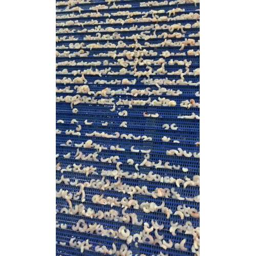 Zhoushan Haiwang Seafood Co., Ltd