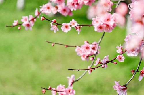 Details determine quality, printing makes the brand start well