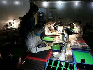 Wise Wing Technology (Hongkong) Limited