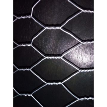 China Top 10 Hexagonal Wire Mesh Potential Enterprises