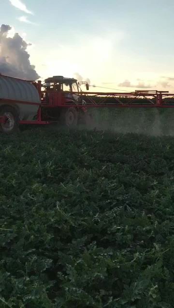 trailed sprayer