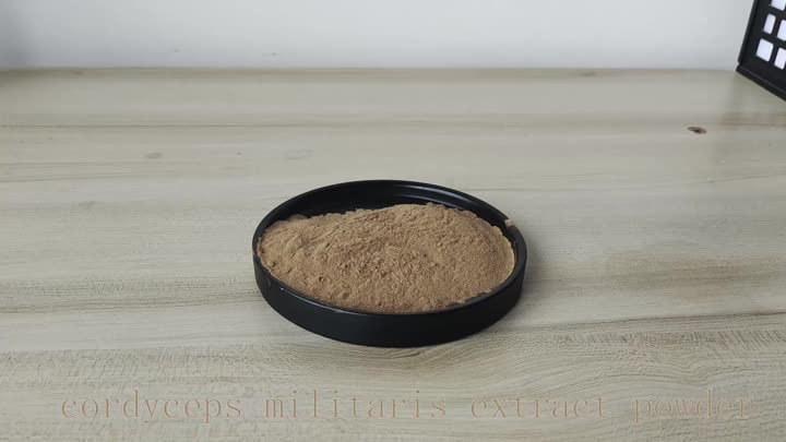 Cordyceps extract