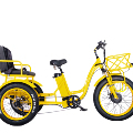 Electric Trike Pedicab with 48V 1000W Bafang Motor, 45KM/H, Cargo Rickshaw, 3 Wheels, 4.8 Fat Snow Tires1