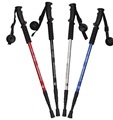 Telescopic Aluminium Pole with Brush1