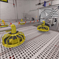 Automatic Auger Feed System for Poultry Breeding1
